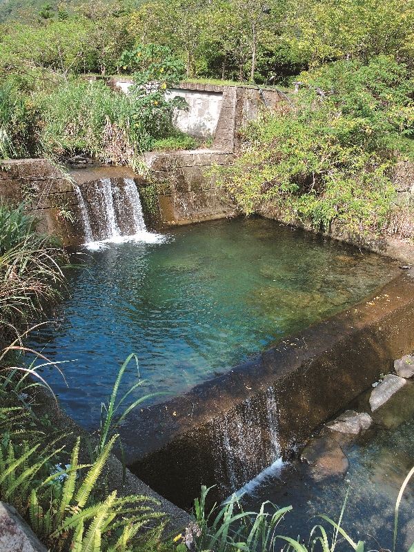 溪流中高大的壩體阻斷了兩域洄遊型魚類的洄游 路徑(圖為油羅溪上游支流)/呂慧穎攝