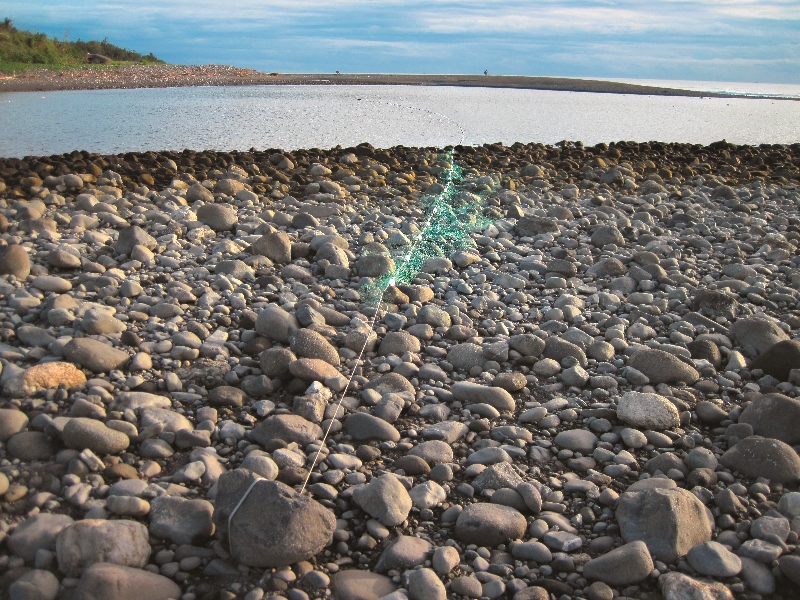 利用刺網橫斷佈放於河道以進行溪流魚類生態調查採樣
