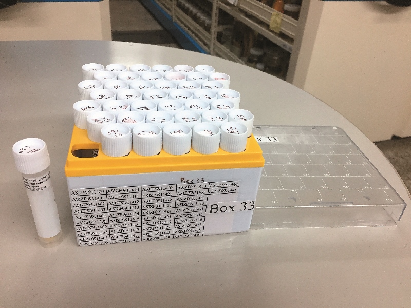 圖中為以乙醇溶液的保存的魚類肌肉組織樣 本,可作為分子生物學的研究材料