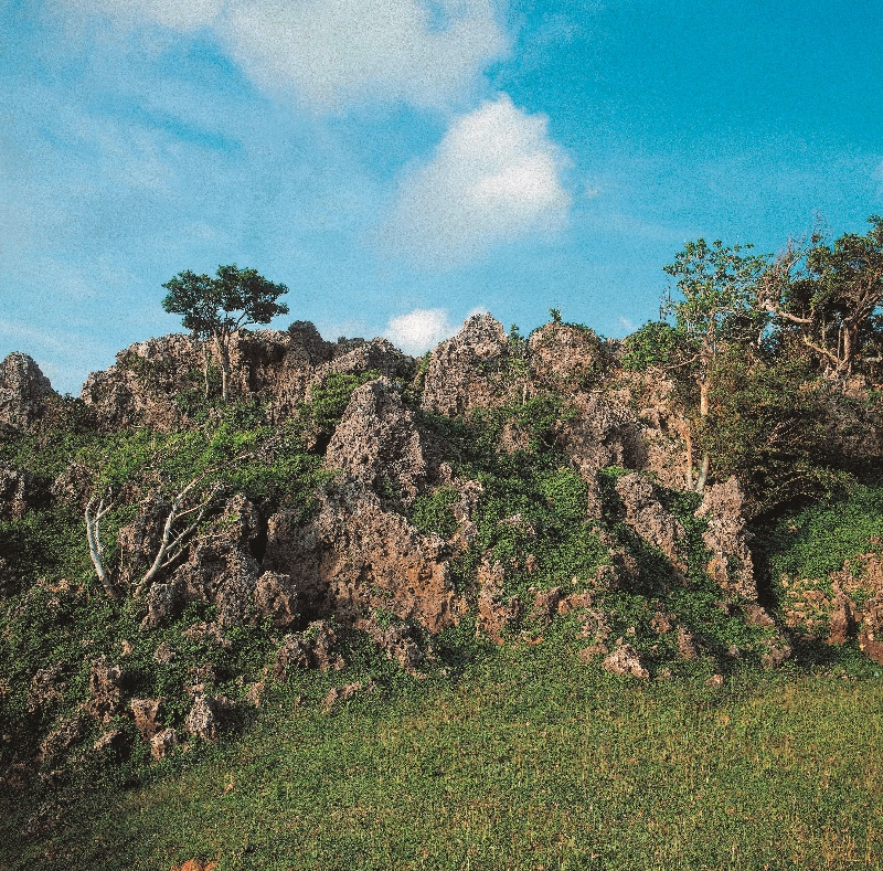 社頂高位珊瑚礁