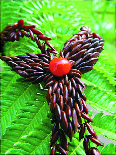 銀合歡種子做成的項鍊