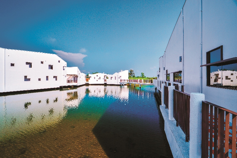 台江國家公園海岸濕地及河口生態系的管理經驗,是日後國土保育網絡拓展至濕地經營以及海岸管理時,最佳借鏡/何小綠攝