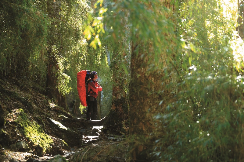 主角Dahu(谷明光)為資深高山嚮導,自然散發著與山林共融的氣質,舉止中更能讀出崇山敬山的態度