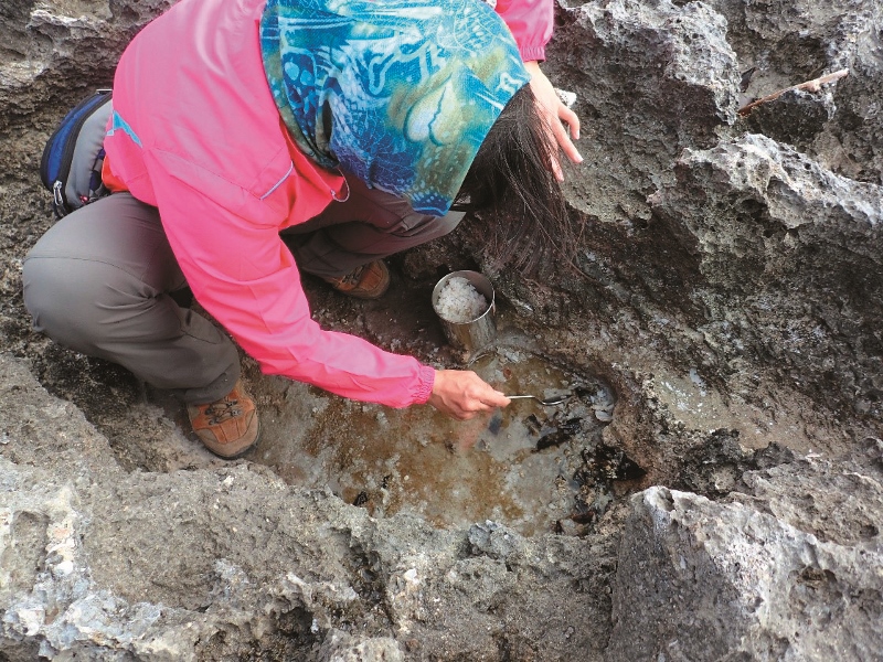 人文微旅行 後灣採鹽趣