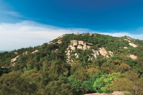 金門環境乾旱，東北季風吹拂長達 半年，造就金門特殊的植相