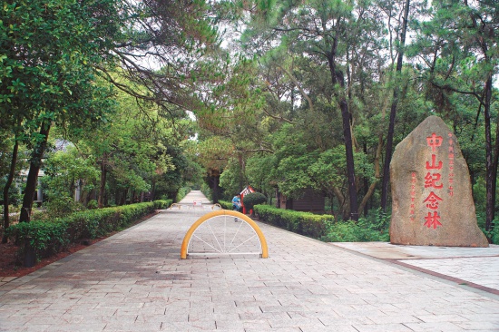 中山紀念林於1967年開始植林， 如今綠樹成蔭／楊懷智攝