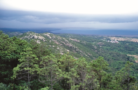 花崗片麻岩構成的太武山保留了許多金 門的原生植物