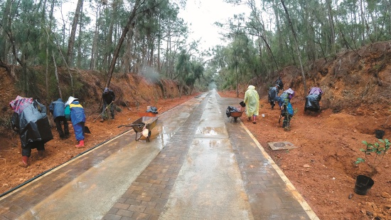 每年配合植樹節金管處同仁及委外清潔人員齊力種植喬木及灌木