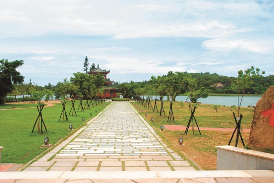 古崗樓莫蘭蒂風災後綠化