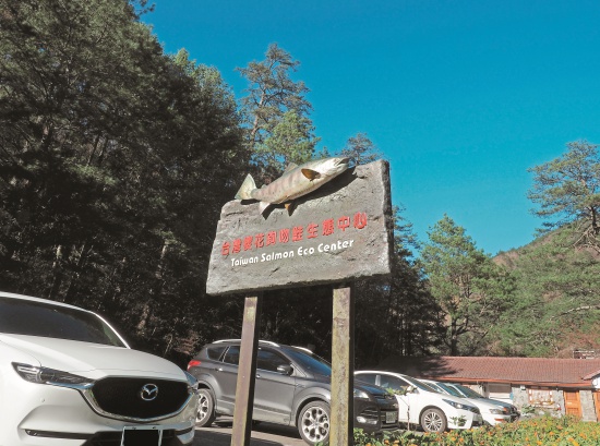 前往櫻花鉤吻鮭生態中心／呂慧穎攝