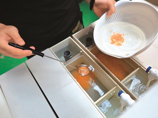 安置受精卵至孵化系統