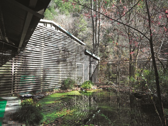 中段簷廊及水池／呂慧穎攝