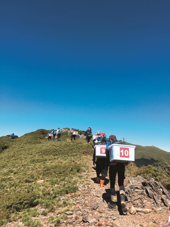 2017年10月26日以人力背負鮭 魚放流至合歡溪歷時8小時