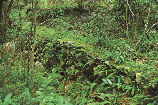 天祥附近仍可見合歡越嶺道上穩固的浮築路