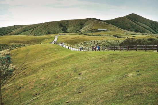 陽明山國家公園擎天崗環形步道是遊客造訪頻率很高的一條步道／楊懷智攝