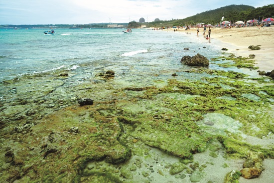 當南灣沙灘上人潮不再密密麻麻，更能享受陽光、沙灘和海浪／徐思琦攝