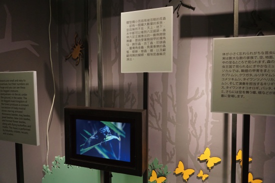 C區：自然生態解說體驗區／藍雅萍攝