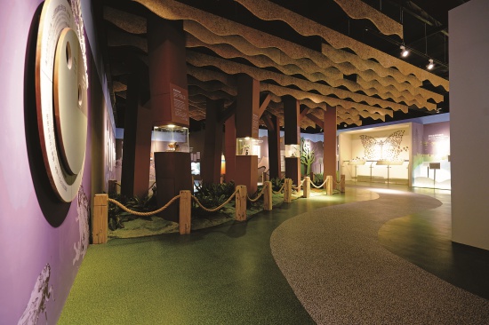 以木質柱型展版、綠色圍籬、鳥類模型，營造亞熱帶森林的氣息