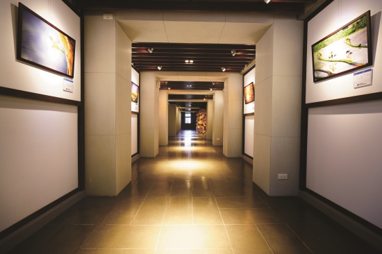 兩側走廊空間將不定期辦理與陽明山國 家公園相關之展覽