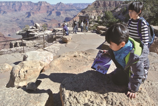 參加Junior Ranger Program到戶外找答案 （美國大峽谷國家公園）／曾慈慧攝