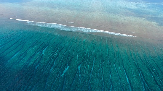 海岸線空拍可看見潮溝編織出的綺麗紋路