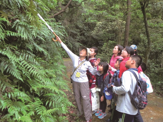 《天溪園賞螢活動》