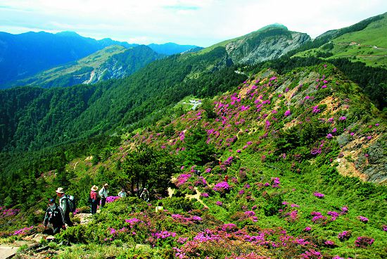 北合歡山步道，藉志工的力量進行相關維護／太管處提供