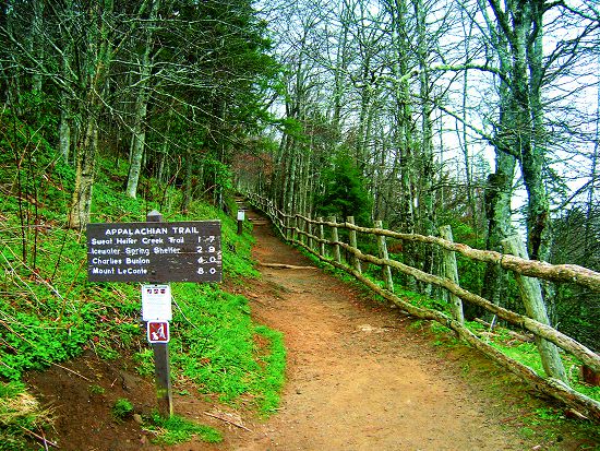 班頓麥凱與志工用雙手打造出全美第一條國家級長步道，是「手作步道」概念之濫觴