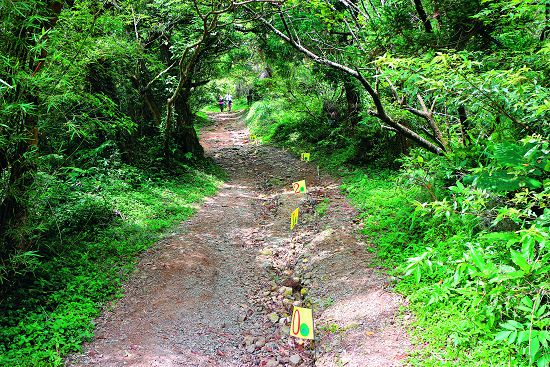 評估步道使用受損情形，以及現場地形與地勢、可取得之修建材料。而後規劃以最少的環境變動、就地取材進行改善設計，並預估可能之工序與材料需求。／陽管處提供