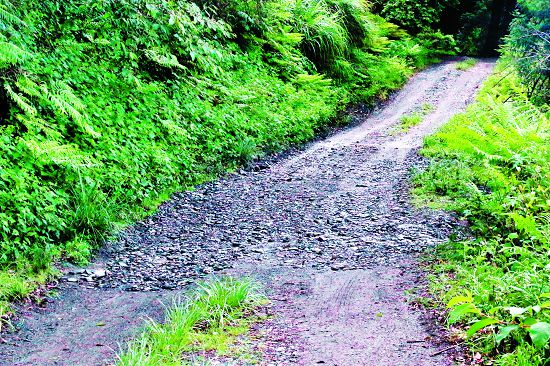 改善洩水坡度之成故／雪管處提供