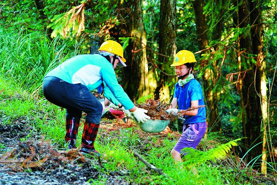 完成積水改善後，鋪上附近的落葉，工程告一段落／雪管處提供