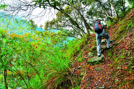 太魯閣國家公園綠水文山步道以最小干擾的方式讓民眾接近自然／林茂耀攝