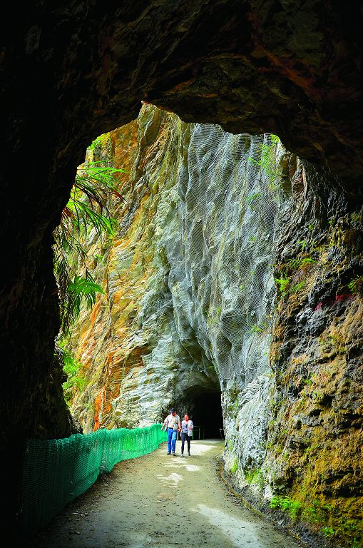 白楊步道防落石柵／林茂耀攝