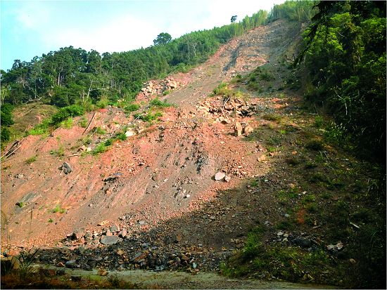 近年來因氣候變遷導致環境變化較以往更為劇烈，影響國家公園內的環境風險甚鉅（司馬限林道9.5K處）／雪管處提供