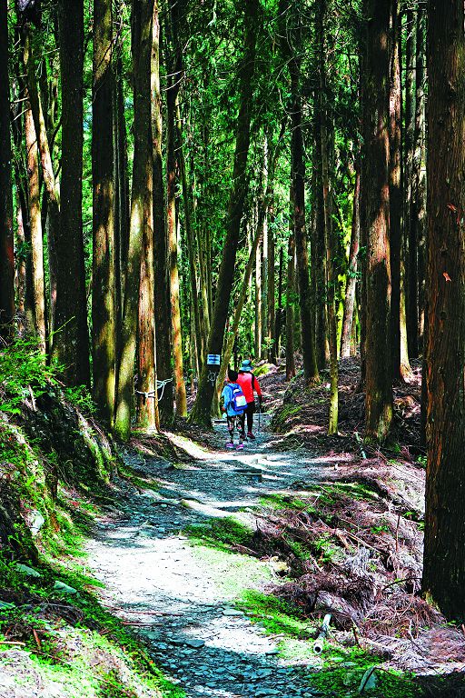 當我們享受國家公園的步道與設施時，別忘了用心搭起維護安全與保護自然環境之間橋樑的工程師們／楊懷智攝 