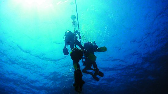 墾丁海域潛點維護，對於潛水者有多一份的保護