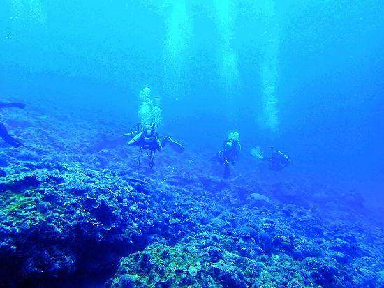 保育巡查員進行珊瑚礁總體檢