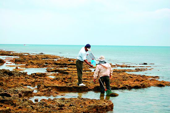 宣導海洋保育生態的重要性