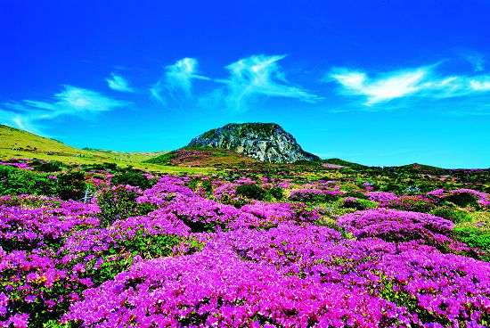 韓國Hallasan National Park