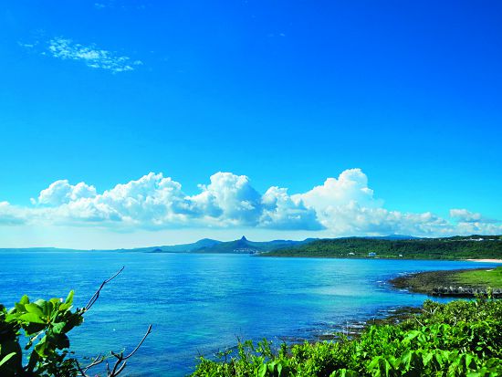 墾丁山海生態的保育仰賴上、中、下游環境管理的整合