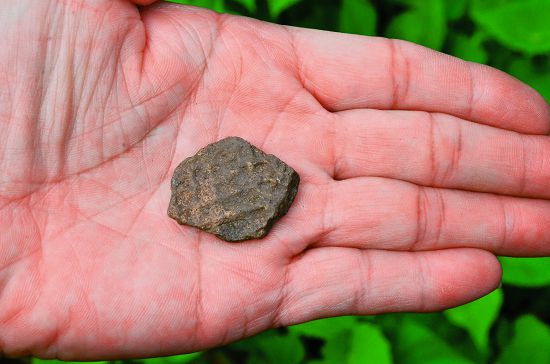 布洛灣印紋陶片，應證人類在此生活的悠久歷史