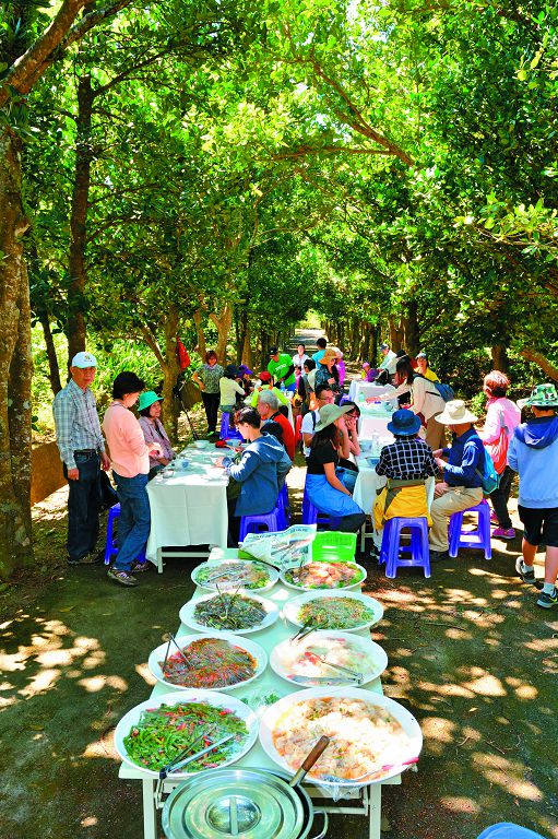 在綠蔭下享受在地好滋味／陳忠能攝