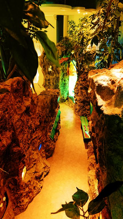  穿梭在B區地質廊道洞穴中／內政部營建署提供