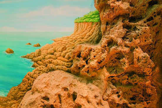 西海岸壁畫結合了2D和3D手法，展現沿岸大孔隙珊瑚礁石灰岩母岩形態