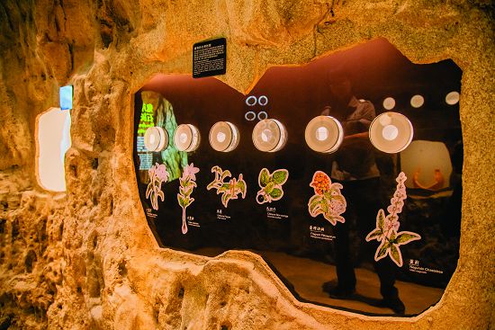 透過嗅覺認識植物的化學防禦機制