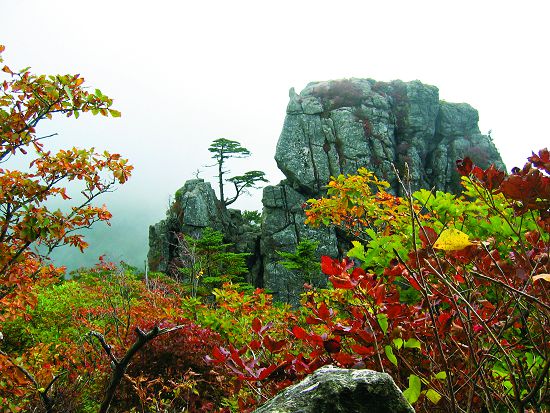 韓國智異山國家公園(Jirisan National Park)