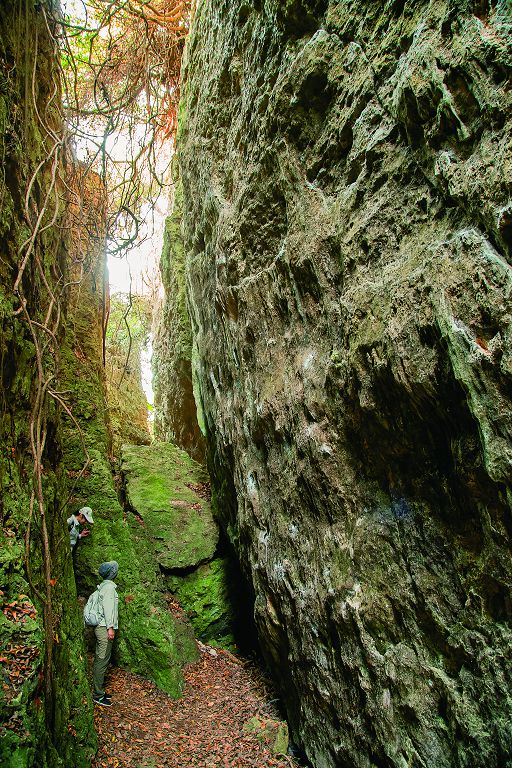 壽山大峽谷的實地景觀