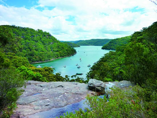 距離雪梨市區僅僅只有24公里遠的庫嶺蓋國家公園是新南威爾斯省推動銀髮周活動的重要據點