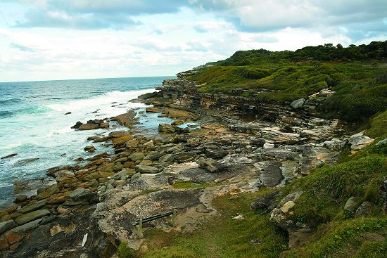 澳洲植物灣國家公園將歐洲移民與澳洲原住民文化在這片土地的初相遇放入銀髮周活動內容中