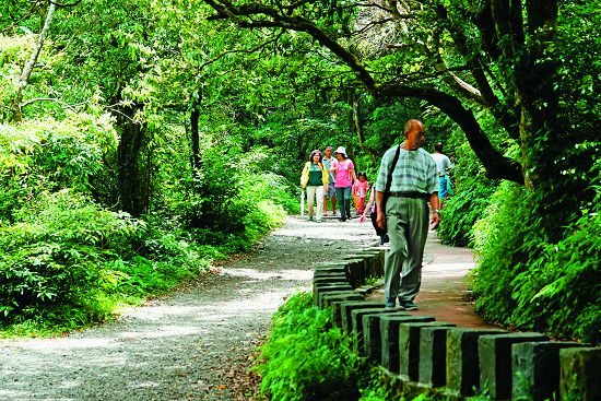陽明山國家公園二子坪無障礙步道，平緩舒適安全適合三代同堂戶外踏青的步道／楊懷智攝